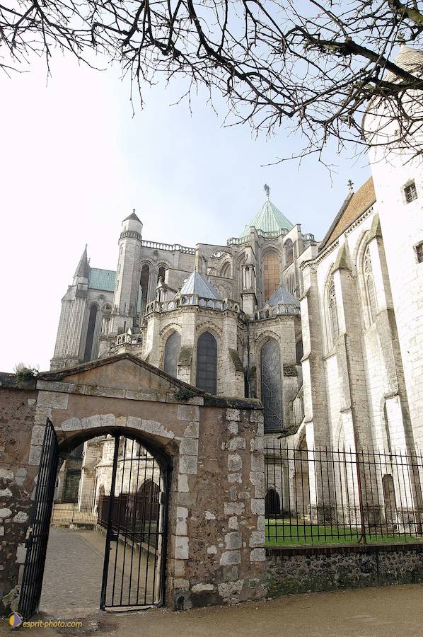 Nom de l'image : D1107501-nef-01_(c)Norbert-JUNG — Description :